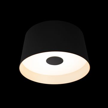 Потолочный светильник 8W 4000K 10360S Black чёрный Duo LOFT IT