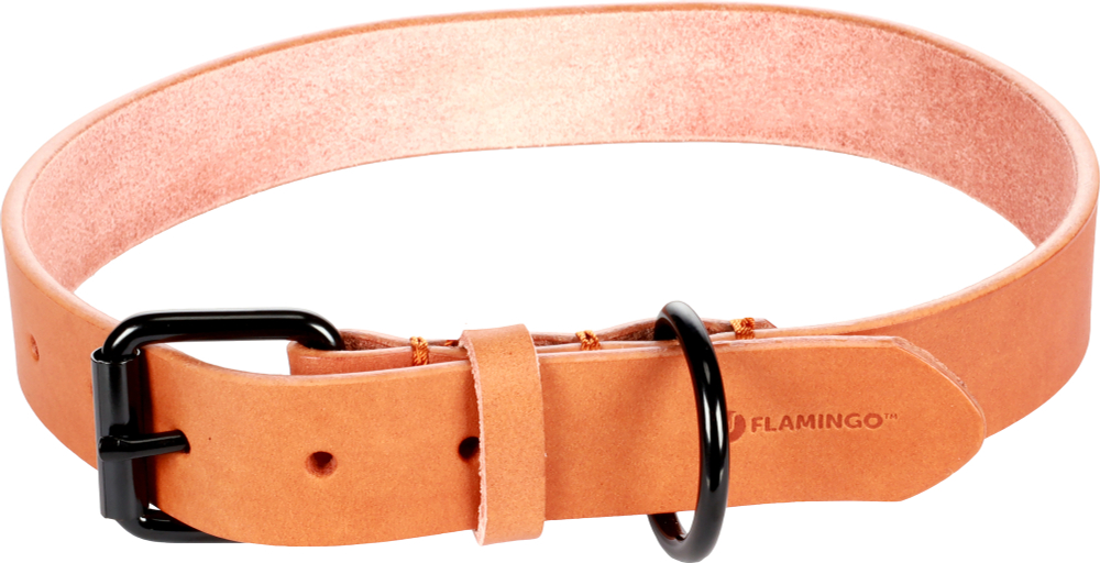 FLAMINGO Ошейник LEANO для собак, воловья кожа
