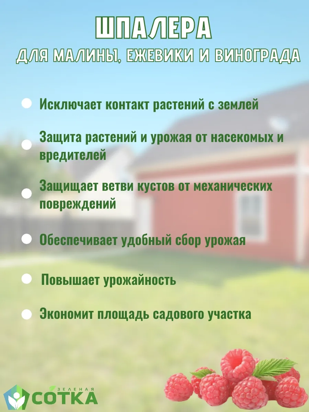 Шпалера для малины, ежевики и винограда