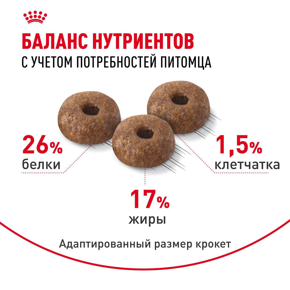 Royal Canin Mini Dermacomfort Мини Дермакомфорт Корм сухой для взрослых собак мелких пород для профилактики раздражения и зуда кожи 3кг