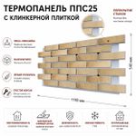 Клинкерная фасадная термопанель ППС25 Cerrad Retro Brick Salt 1150x540