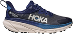Кроссовки мужские Hoka Challenger Atr 7 GTX