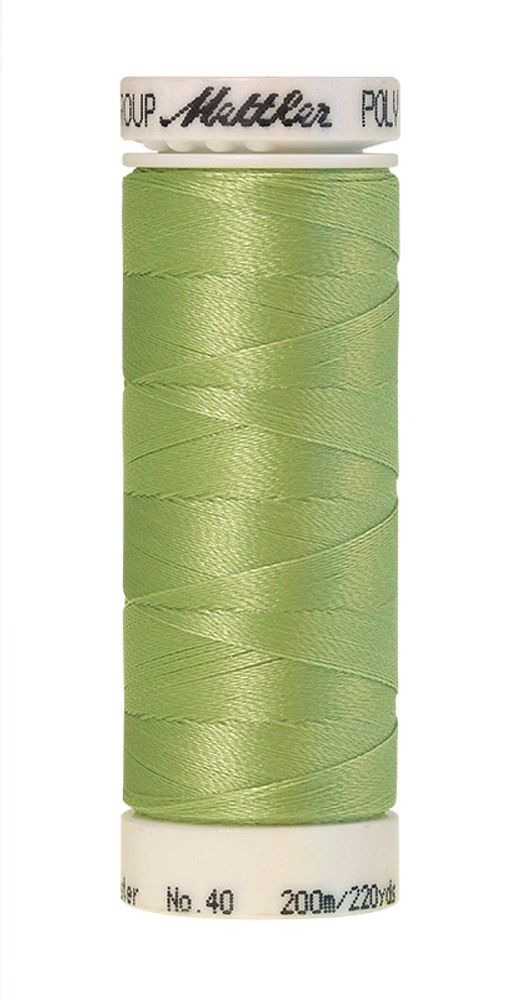 Нить вышивальная Mettler Poly Sheen 40 (200 м), 5 кат. | цв. 6051