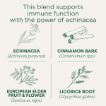 Traditional Medicinals, Organic Immune Boost®, бузина и эхинацея, без кофеина, 16 чайных пакетиков, 28 г (0,99 унции)