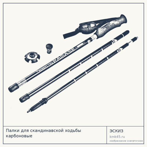 Палки для скандинавской ходьбы карбоновые — от 2 700 ₽