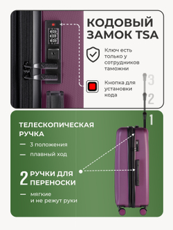 Набор S/L ручная кладь и большой Винный
