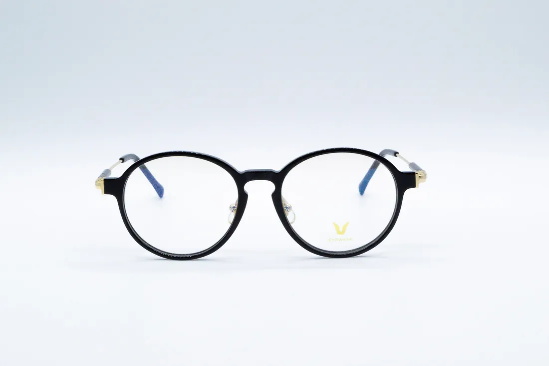 Изг. оправы Eyewear V3004 C01
