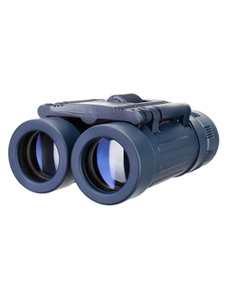 Бинокль Levenhuk Discovery Basics BB 8x21