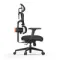 FoxGear NETZ XO Office Edition Black