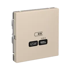 Розетка с USB C Systeme Electric ArtGallery Песочный GAL001227