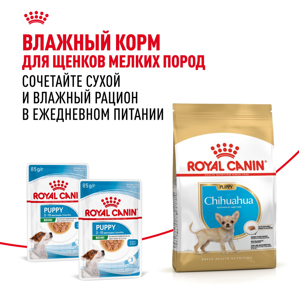 Royal Canin Chihuahua Puppy Чихуахуа Паппи Корм сухой для щенков породы Чихуахуа до 8 месяцев 1,5кг