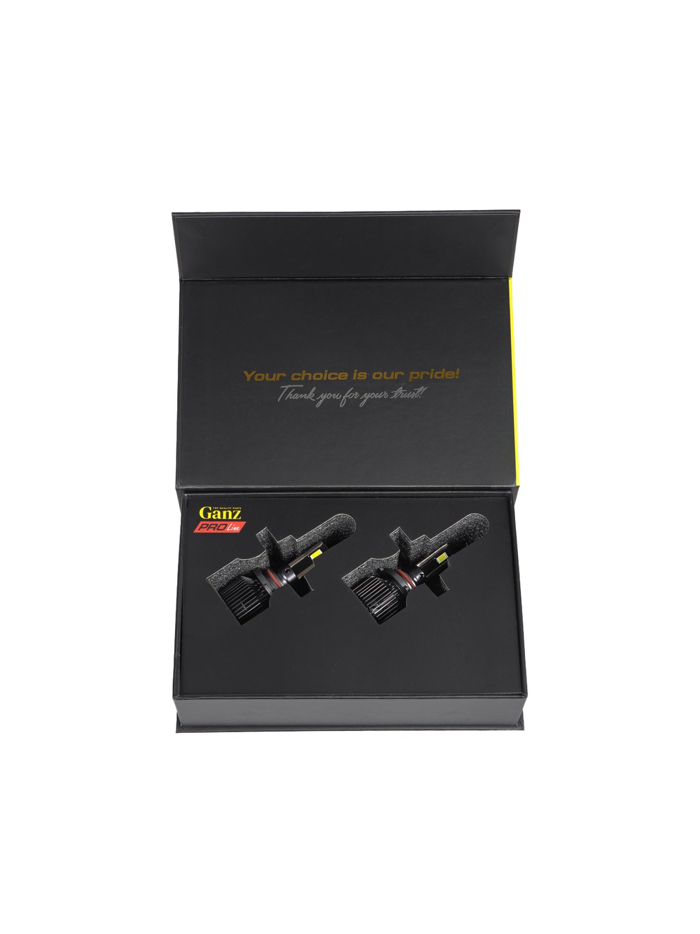Лампа светодиодная 12/24V HB3 55W 4000lm 6000K (LED) GANZ PRO-Line 2 шт. DUOBOX IP68 GIP06362