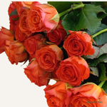 Фон карточки (16).png