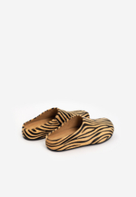 mule pony zebra latte