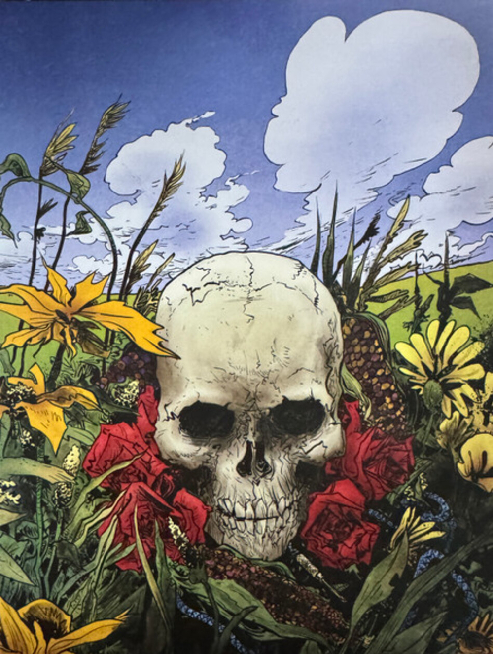 Grateful Dead / July 1978 - The Complete Recordings (Limited Edition)(12HDCD)