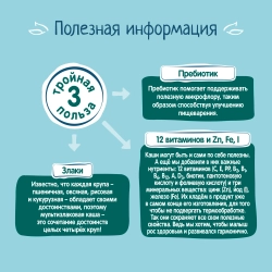 Каша Фрутоняня молочная Мультизлаковая с земляничным печеньем, кукурузными сердечками и кусочками землянки 200г, с 12 месяцев