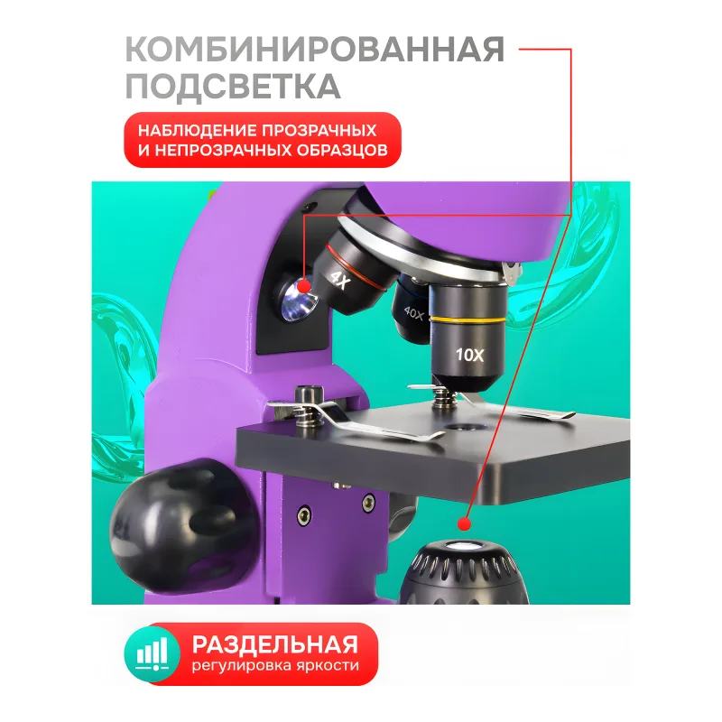 Микроскоп Levenhuk Rainbow 50L Amethyst\Аметист - комбинированная верхняя и нижняя подсветка, объективы