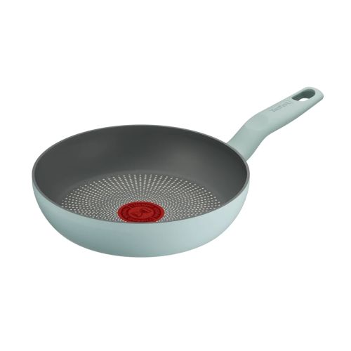 Сковорода Tefal Halo Eucalyptus 20 см G0160202