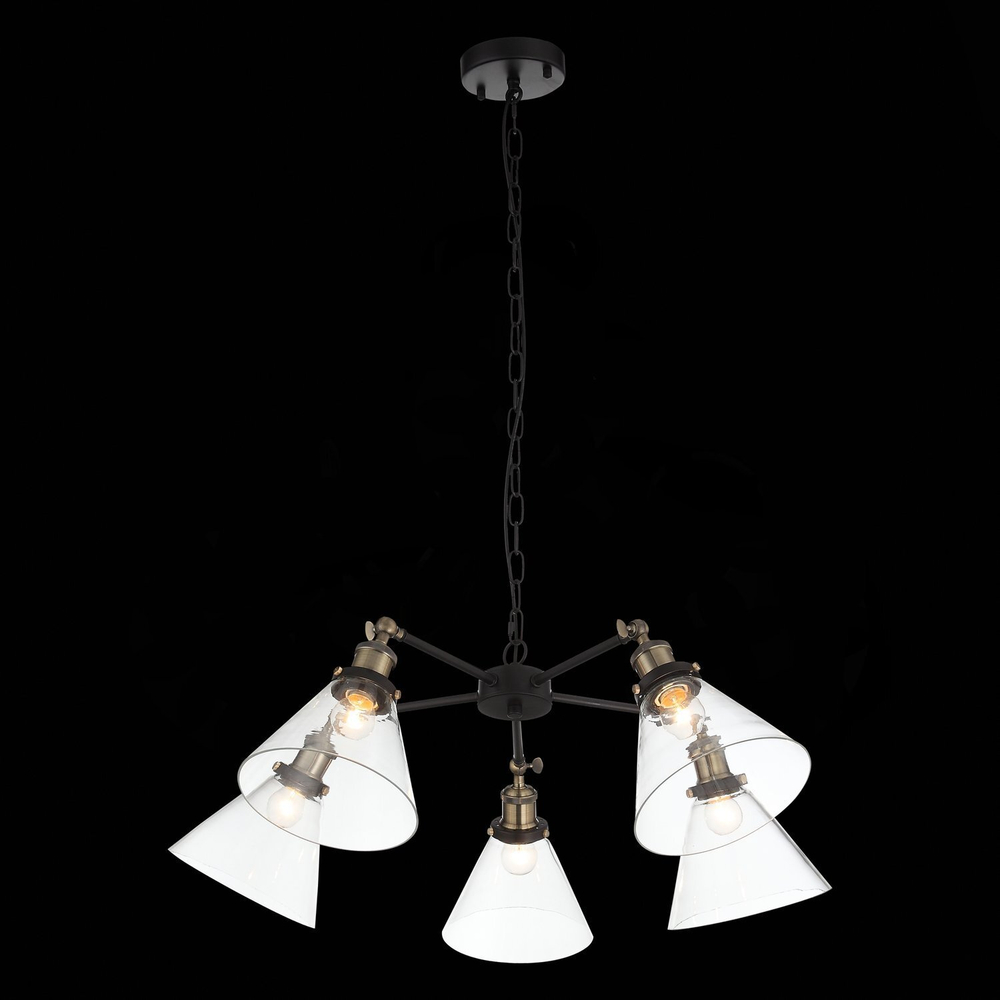 Люстра подвесная ST Luce Evoluto SL237.413.05