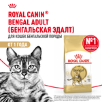 Royal Canin Bengal Adult Бенгал эдалт Корм сухой для взрослых бенгальских кошек старше 12 месяцев 400г