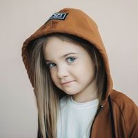 Толстовка с капюшоном "Каштан" облегченная