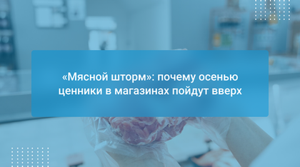 «Мясной шторм»: почему осенью ценники в магазинах пойдут вверх