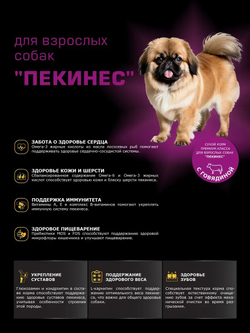 Корм сухой для взрослых собак породы Пекинес, с говядиной, 12 кг, QUATTRO