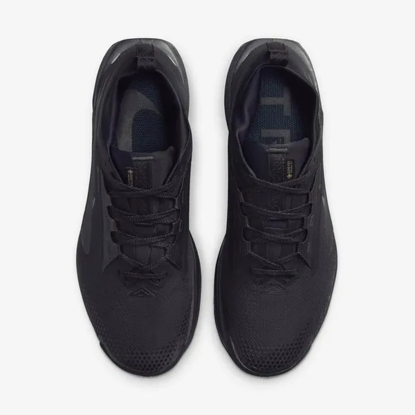 Кроссовки мужские NIKE Pegasus Trail 5 GORE-TEX
