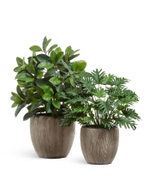 Кашпо TREEZ Effectory Wow Конус-Чаша Капучино в-46 см, д-49 см 41.3320-06-044-BB-49