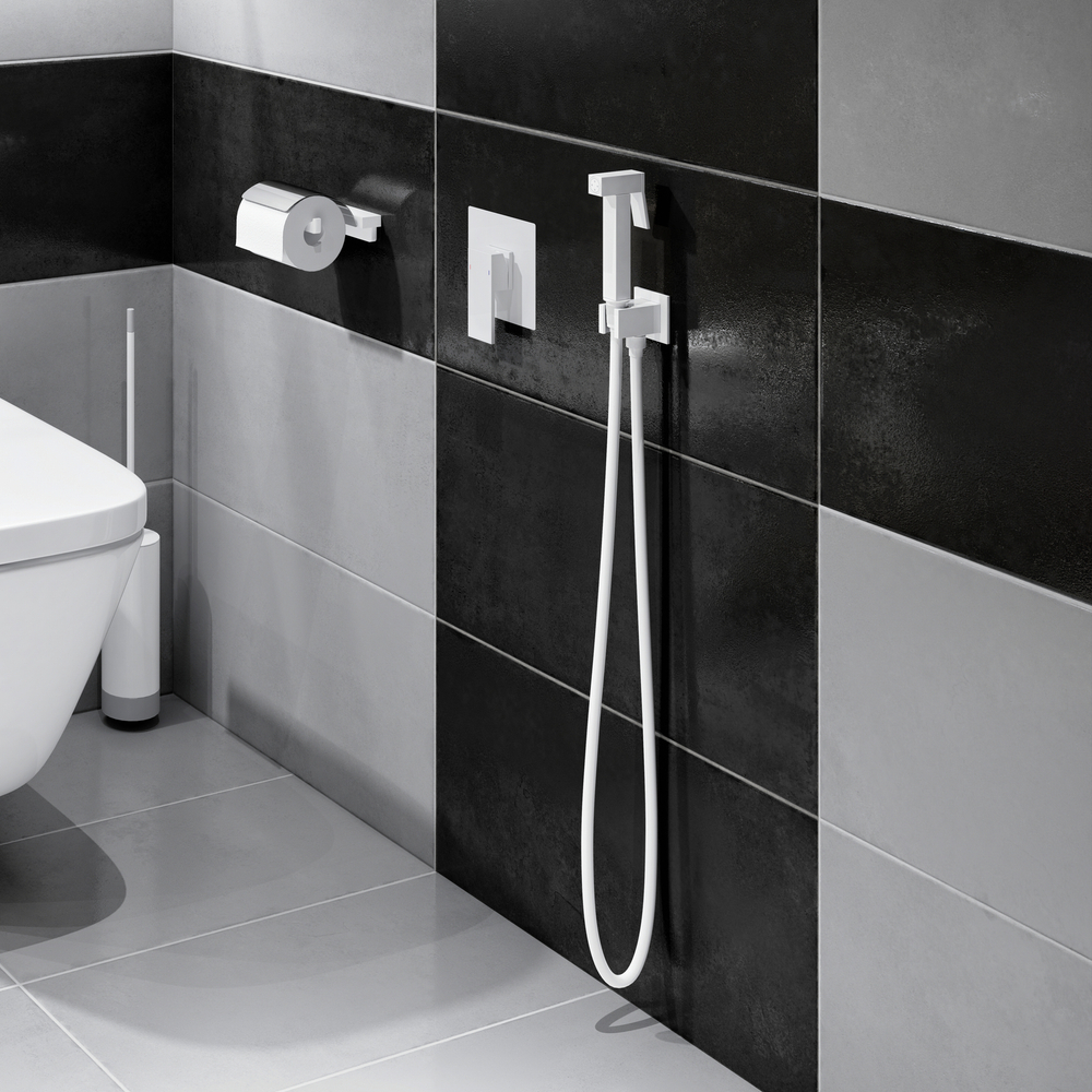Смеситель встроенный с гигиеническим душем Selene 2089/16SM Белый матовый
