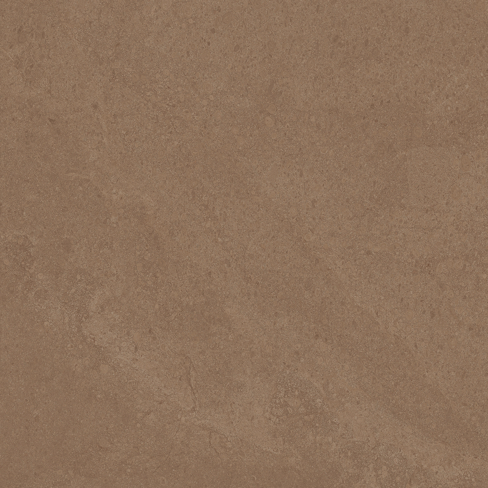 VELARIS BROWN R10 NAT RET 60X120