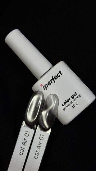Air cat 01 color gel Iperfect 10g