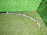 DSCN5164.JPG