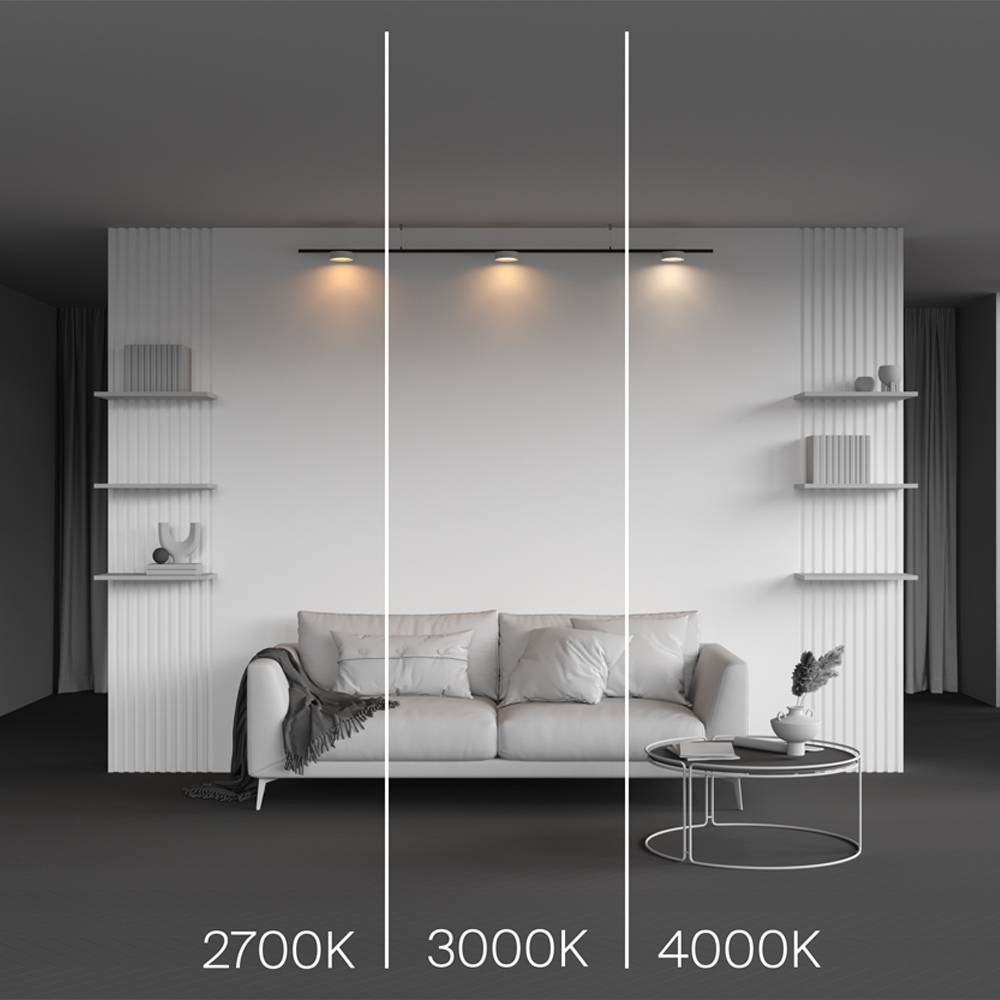 Магнитный трековый светильник Maytoni Zon TR189-1-12W2.7K-BW