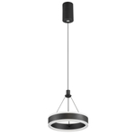 Citilux Дуэт CL719011 LED Подвесной светильник Чёрный