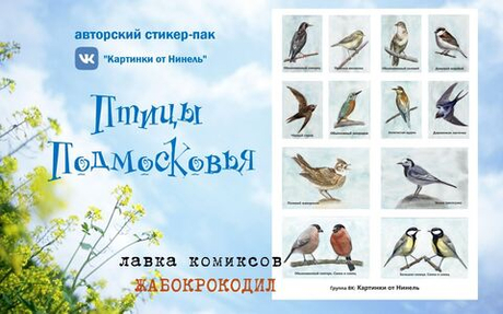 авторский стикер-пак " Птицы Подмосковья" (Картинки от Нинель)