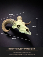 Череп барана миниатюра для декора, настольных игр, тематических предметов, фентези-атрибутов, диорам и инсталяций.