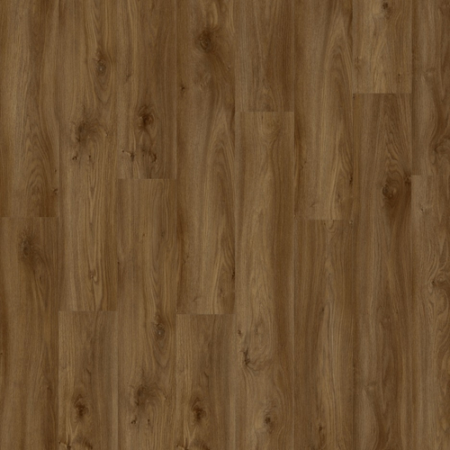 Виниловая плитка Moduleo ROOTS Sierra Oak 58876
