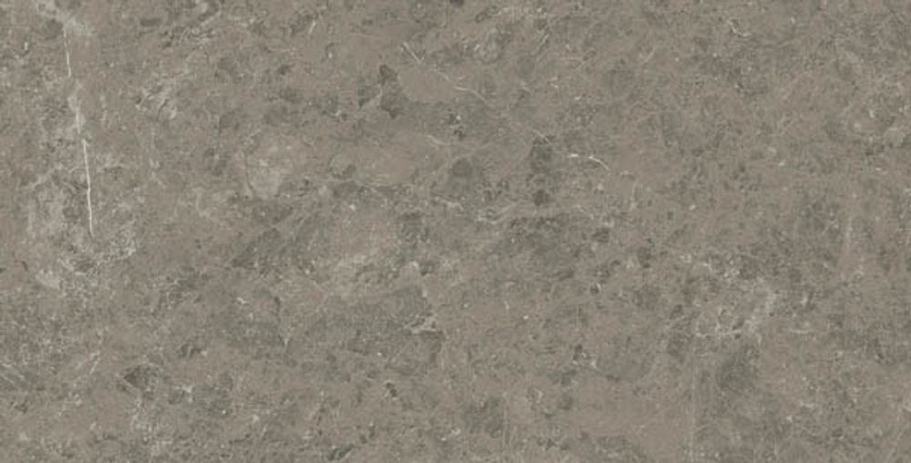 Керамогранит Marvel Meraviglia Grigio Elegante Matt (AJJN)
