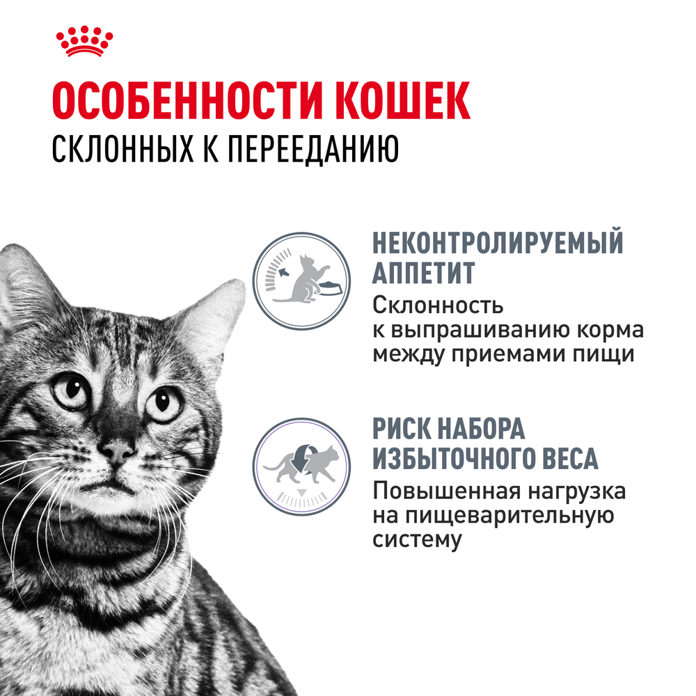 Royal Canin Appetite Control Care Аппетайт контрол кэа Корм сухой для взрослых кошек контроль выпрашивания корма 10кг