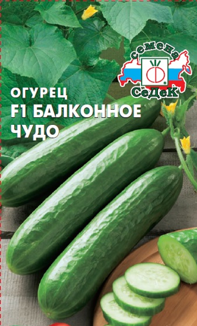 Огурцы