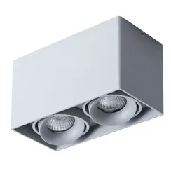 Точечный светильник Pictor A5654PL-2GY Arte Lamp