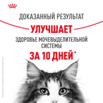 Влажный корм для кошек Цыплёнок в соусе, 85г Royal Canin Urinary C/O ИМПОРТ