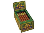 CAO Brazilia Samba