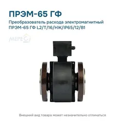 Преобразователь расхода электромагнитный ПРЭМ-65 ГФ L2/T/16/НЖ/IP65/12/B1