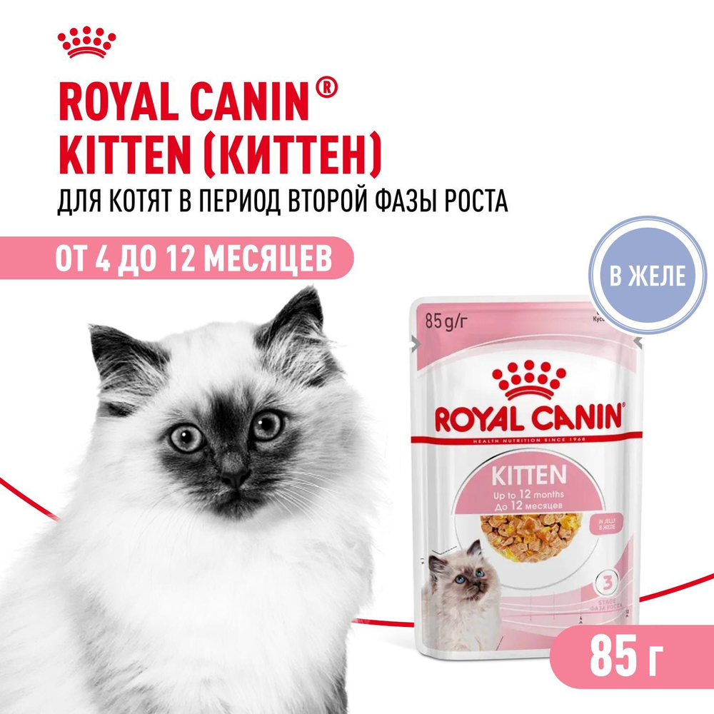 Royal Canin Kitten Киттен Корм влажный для котят в период третьей фазы роста в возрасте до 12 месяцев желе 85г