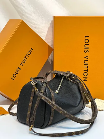 Сумка Louis Vuitton Express
