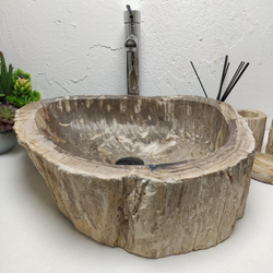 Раковина из окаменелого дерева OD-61297 54x46x15 из натурального камня