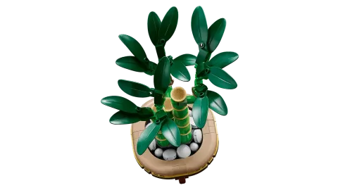 Конструктор LEGO Botanical Collection 10344 Бамбук удачи