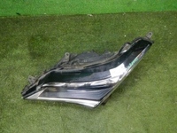 DSCN3729.jpg